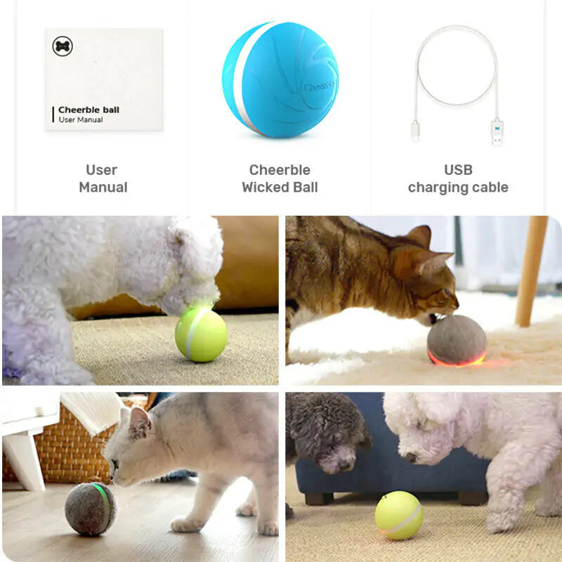 LED Pet Ball